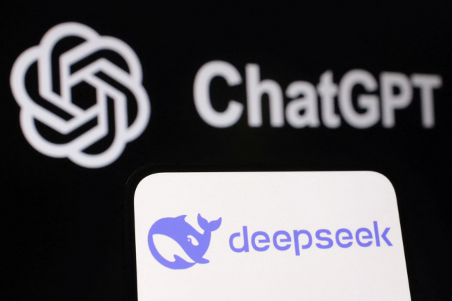 DeepSeek Redefines Large Model Applications in 2025